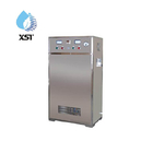 10g High Concentration Ozone Generator