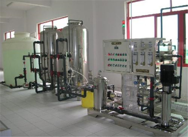 5000L/H EDI Water Treatment Plant SUS Purified Ultrapure Water